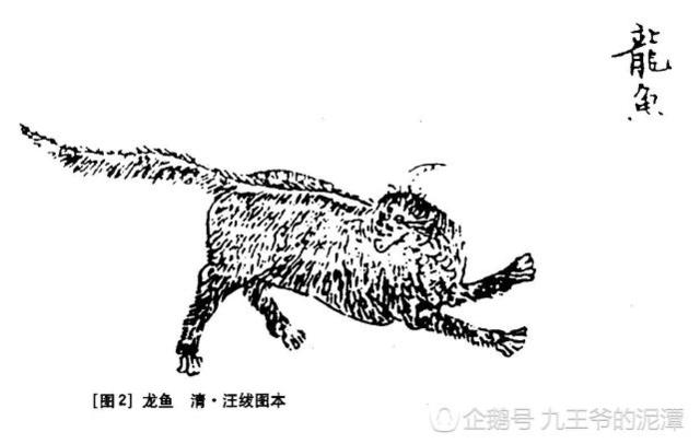 《山海經(jīng)》古人如何看有龍字的動(dòng)物呢？奇獸龍魚