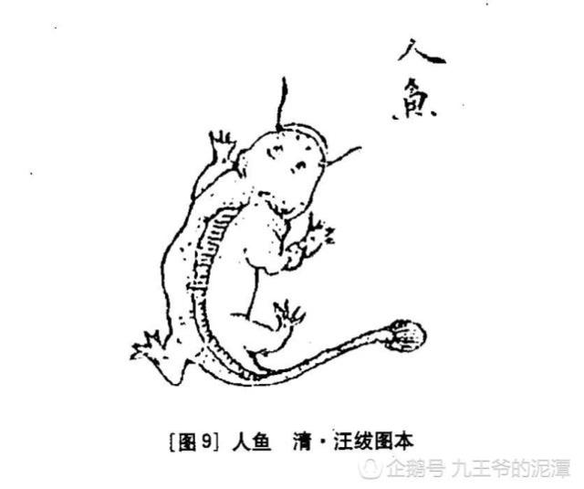 《山海經(jīng)》古人如何看有龍字的動(dòng)物呢？奇獸龍魚