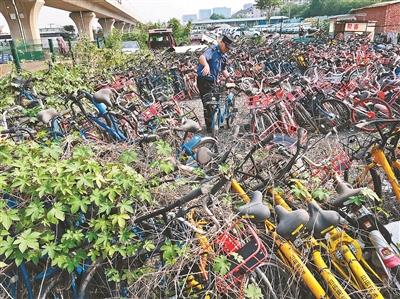 大興三千被暫扣共享單車無人認領 有的車輛已經(jīng)被植物纏繞