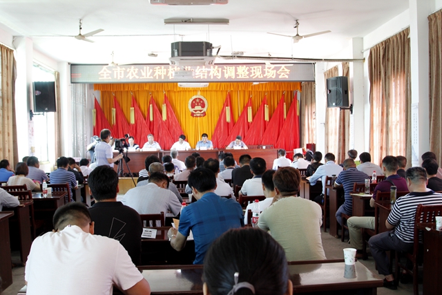蚌埠市召開農(nóng)業(yè)種植業(yè)結(jié)構(gòu)調(diào)整現(xiàn)場(chǎng)會(huì)