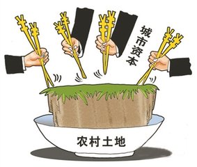 社會資本下鄉(xiāng),，建企業(yè)還是建村莊,？