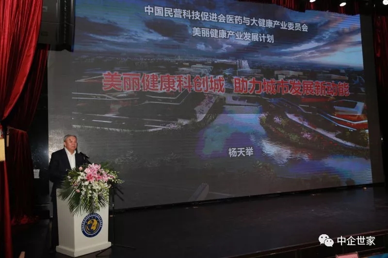 中國民營科技促進會醫(yī)藥與大健康產(chǎn)業(yè)委員會圓滿換屆，王建華當選會長