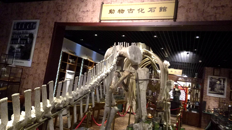 北京《時(shí)珍堂中醫(yī)藥博物館》新年聯(lián)歡會(huì)圓滿成功,！