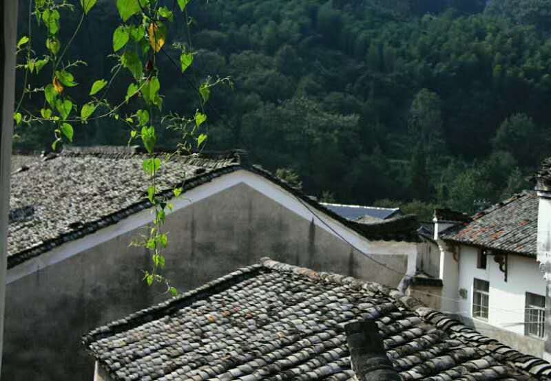 　灌溉夢(mèng)想 開(kāi)出奇跡