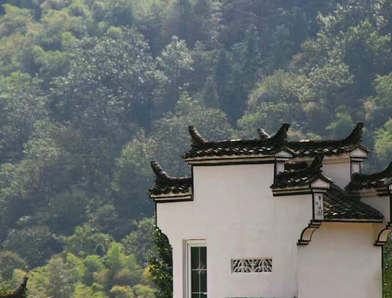 　灌溉夢(mèng)想 開(kāi)出奇跡