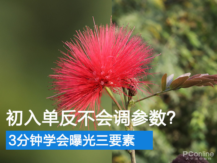 初入單反不會調(diào)參數(shù),？3分鐘學(xué)會曝光三要素
