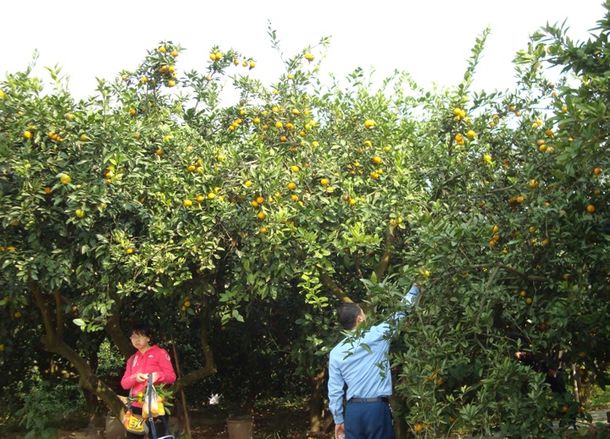 安徽太湖縣春草愛心聯(lián)盟慈善協(xié)會(huì)會(huì)員走進(jìn)金夢(mèng)灣生態(tài)農(nóng)莊