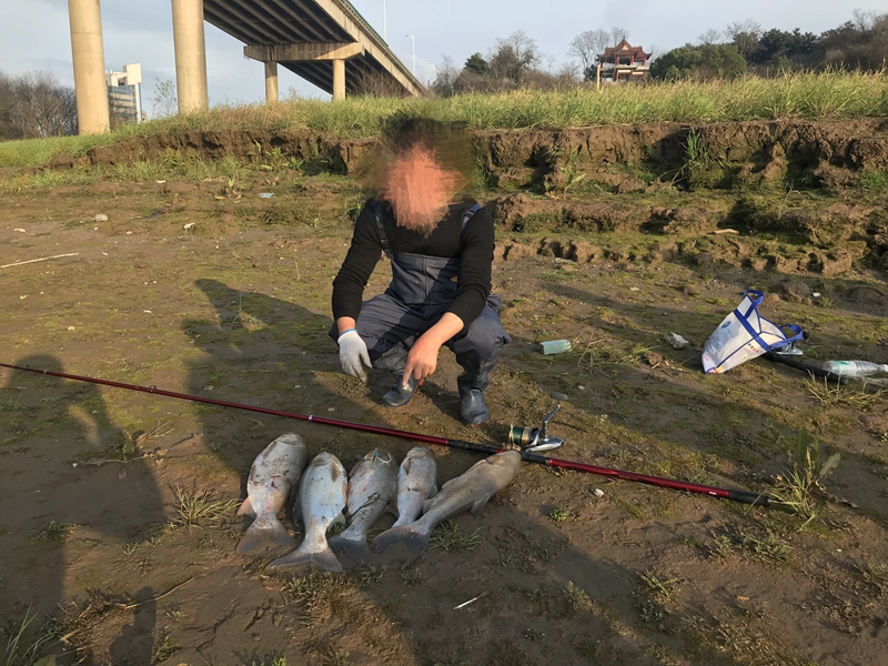 “錨魚”不用餌,，實則非法捕撈 長航銅陵公安在疫情防控期間查獲一起非法捕撈水產品案
