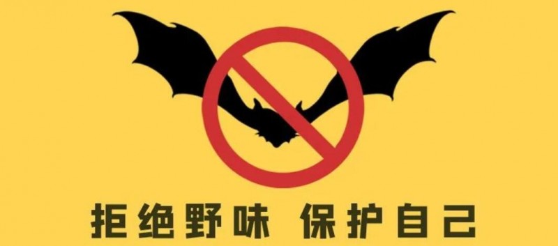 12省市已出臺“禁野令”,，亂吃野味以后怎么罰,？