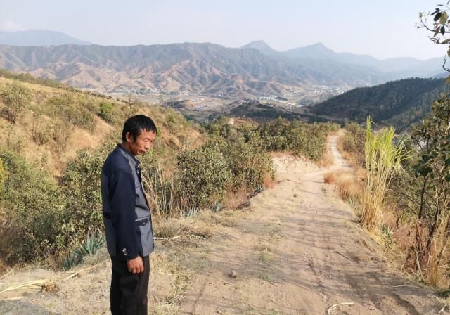 農(nóng)民自費(fèi)修路被罰，能適用“輕微違法免罰”嗎,？