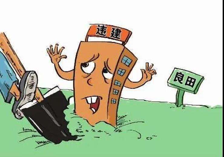 堅決遏制亂占耕地建房,，還需要怎樣用力？
