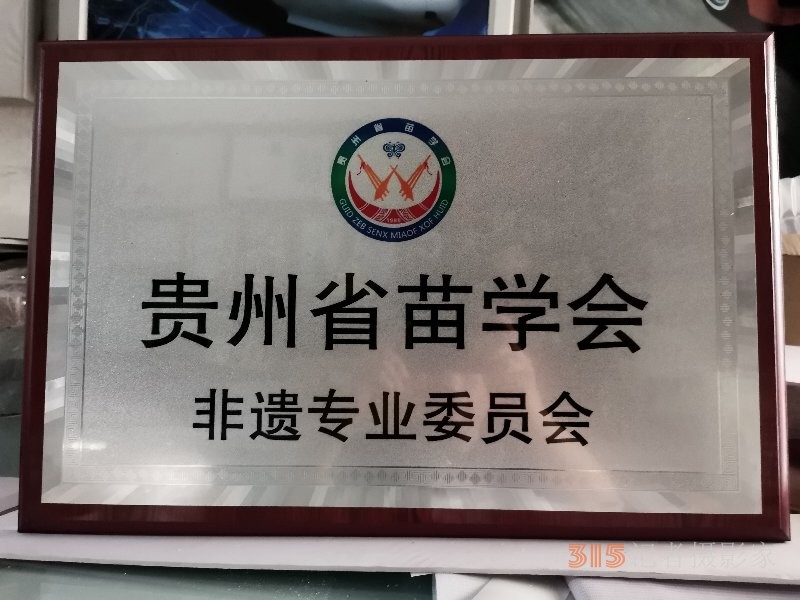 童氏跳骨丹傳承人童治強：中醫(yī)武術(shù)世家,、非物質(zhì)文化遺產(chǎn)