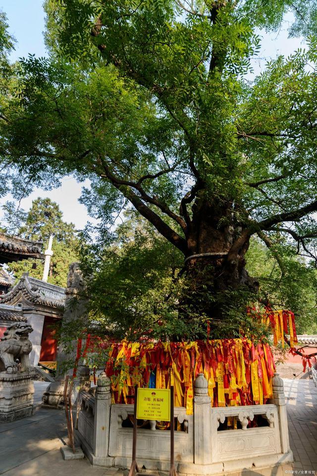 京西有座千年寺廟,，授戒需要皇帝赦諭，距離北京只有70公里