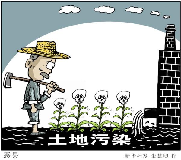 明知是毒大米，買賣卻輕而易舉：起底四川德陽鎘超標(biāo)大米銷售鏈