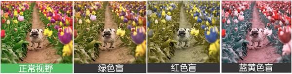 同仁醫(yī)生:4個眼科測試圖,1分鐘測眼睛是否健康,！