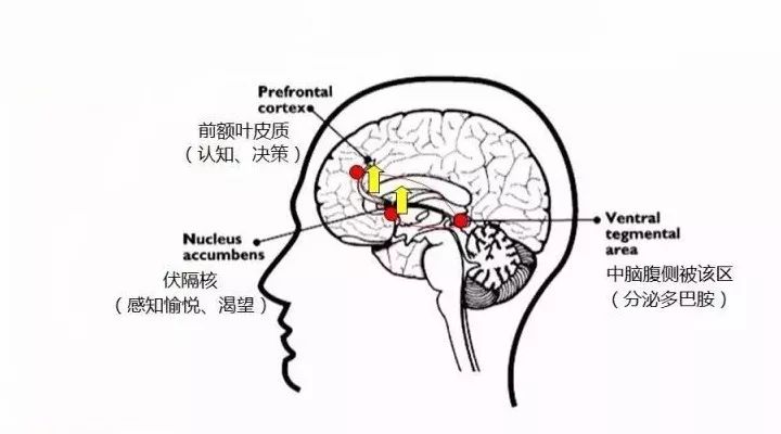 揭秘購買盲盒背后的心理機(jī)制：我們到底在購買什么,？