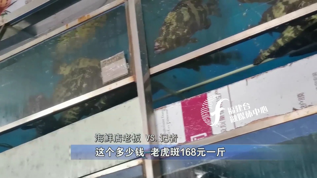 全程揭秘廈門“低價(jià)游黑鏈”,，是如何被坑的,？