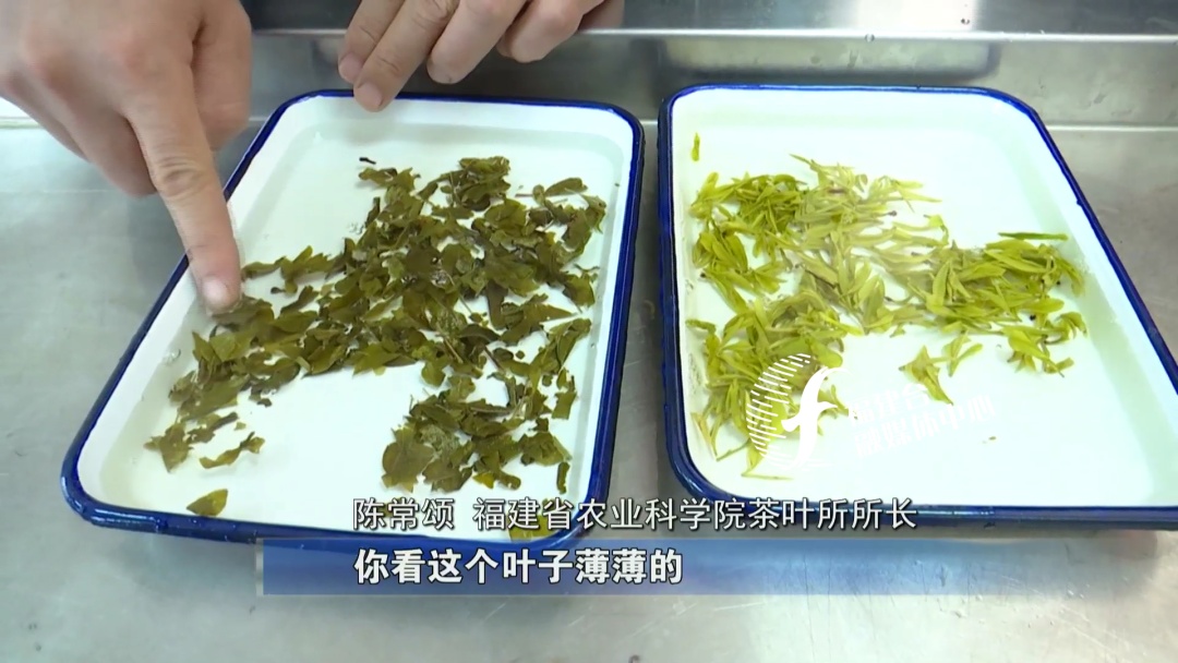 全程揭秘廈門“低價(jià)游黑鏈”，是如何被坑的,？
