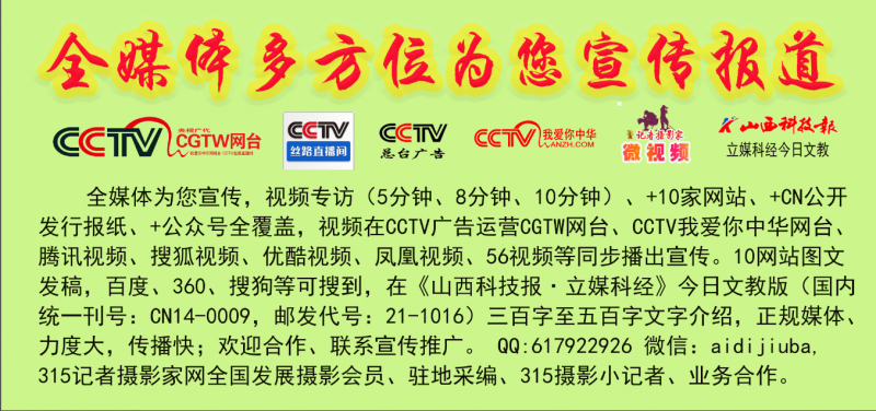 《白蛇傳·情》為什么成功“出圈”?