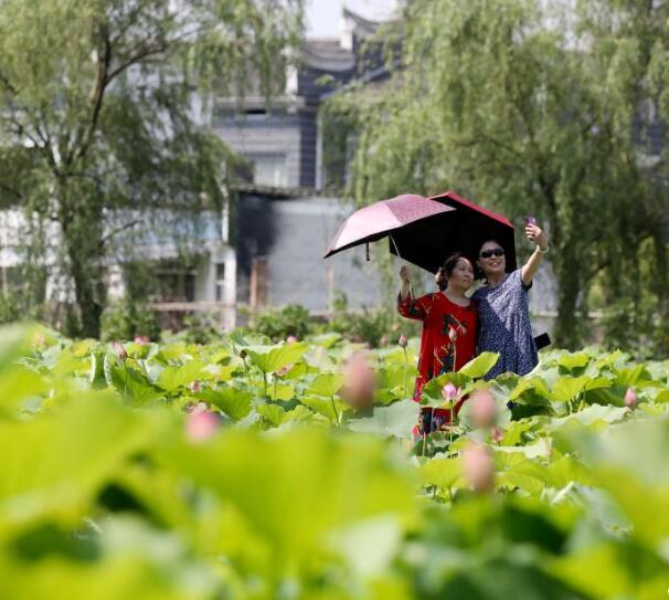 湖南資興：古村荷香引客來(lái)