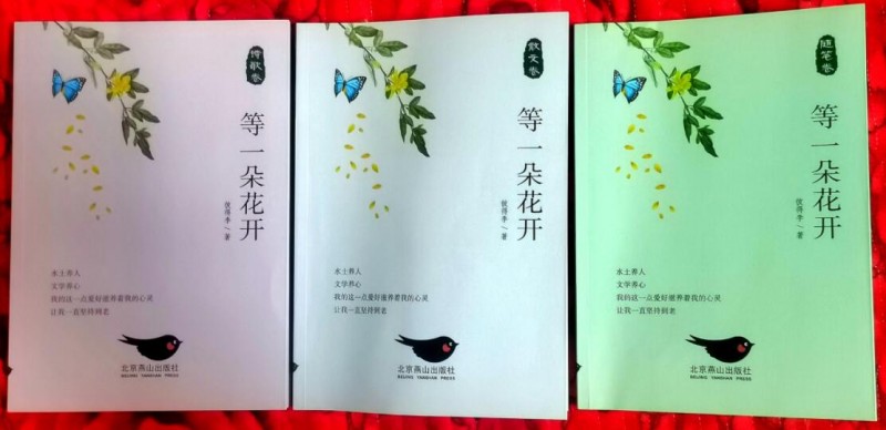 《清雅無華入夢(mèng)懷》——本溪新銳詩人PeterLee詩集欣賞