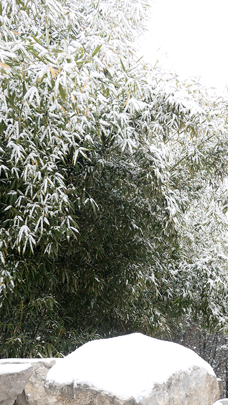 雪中景山公園,、故宮