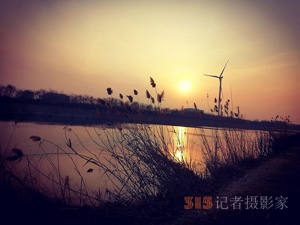 李月手機(jī)拍圖——又見(jiàn)蘆葦夕陽(yáng)紅