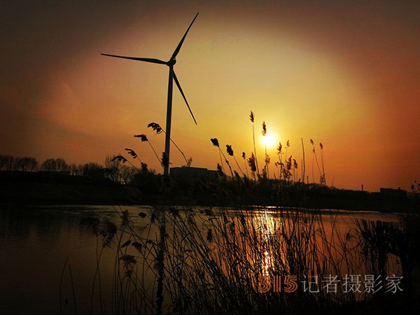 李月手機(jī)拍圖——又見(jiàn)蘆葦夕陽(yáng)紅
