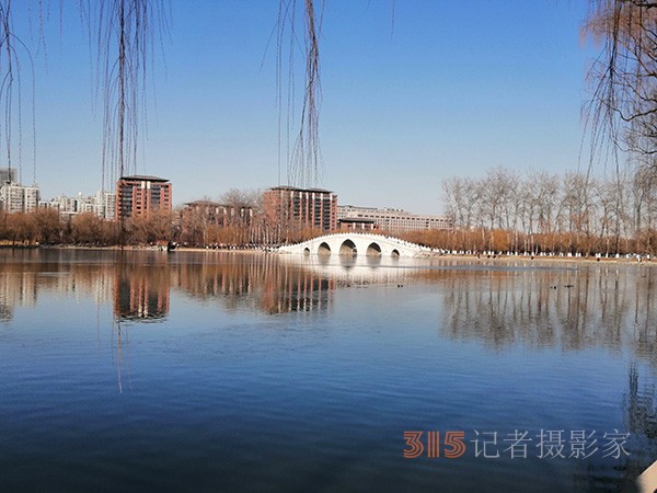 李月手機(jī)拍圖——玉淵潭公園冰開春來