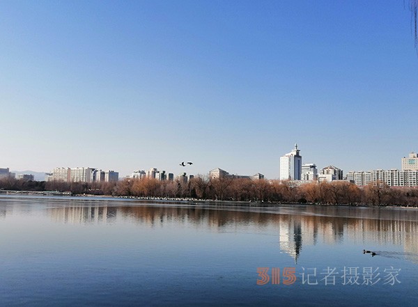 李月手機(jī)拍圖——玉淵潭公園冰開春來
