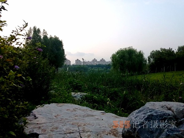 臨水人家堪入畫(huà)——馬家灣濕地公園