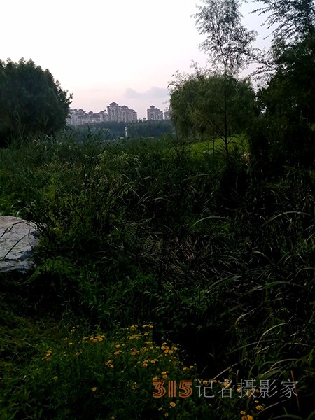 臨水人家堪入畫(huà)——馬家灣濕地公園