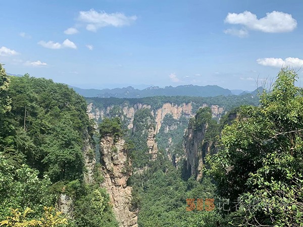 胡玉飛手機(jī)拍圖——張家界