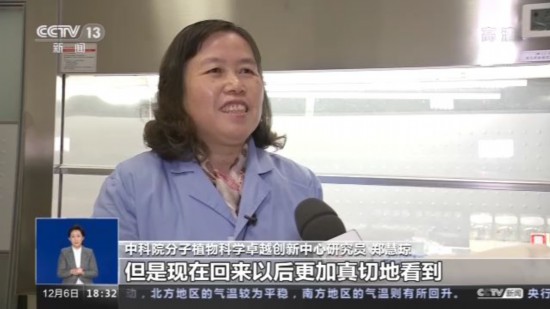 神十四乘組帶回植物種子 “太空植物”生長(zhǎng)有何奧秘？