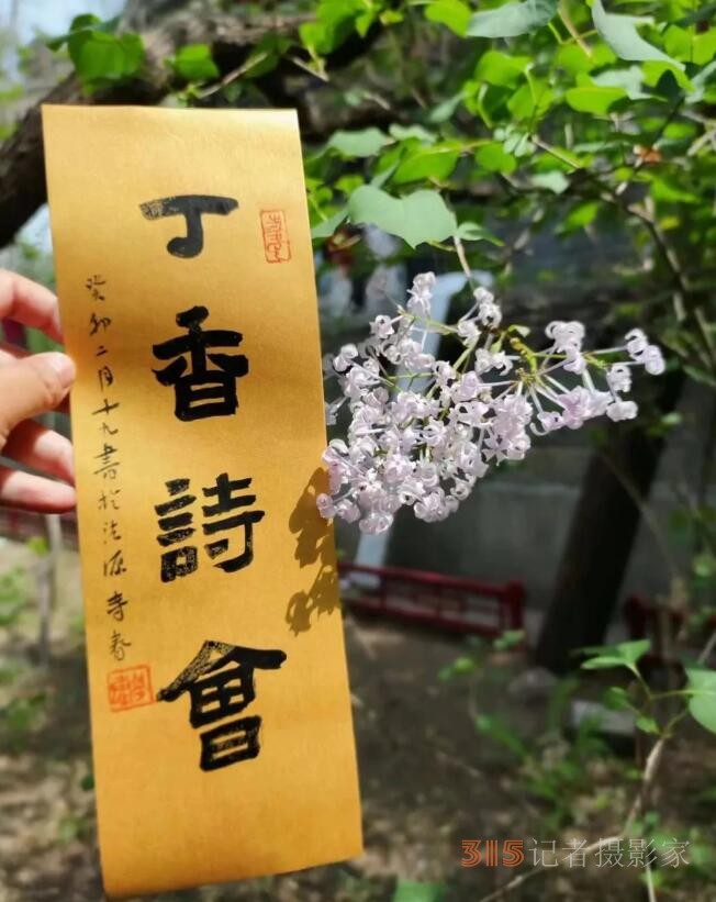 丁香詩會雅集·癸卯卷