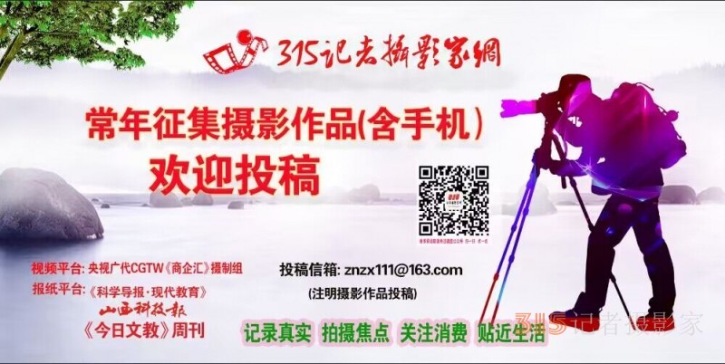 今年“雙十一”,哪有“最低價”,?