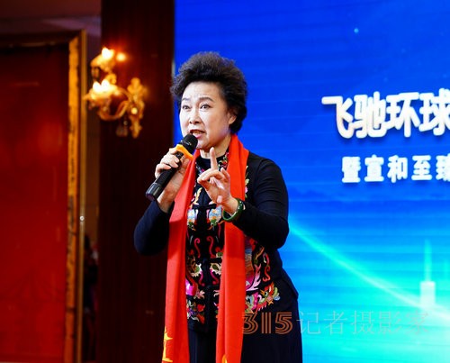 飛馳環(huán)球2024文化藝術盛會在京舉行