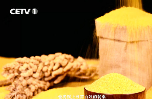 “熬盡鉛華倉廩實 粒粟晶瑩耀華夏”—專訪內(nèi)蒙古國粟營養(yǎng)食品科技有限公司