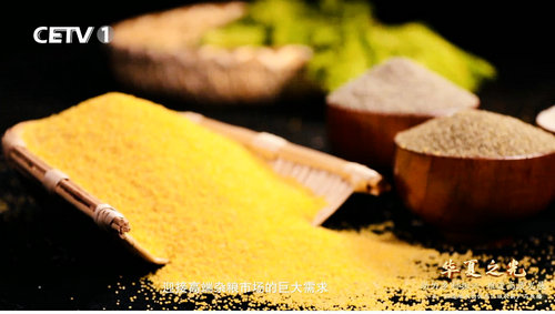 “熬盡鉛華倉廩實 粒粟晶瑩耀華夏”—專訪內(nèi)蒙古國粟營養(yǎng)食品科技有限公司