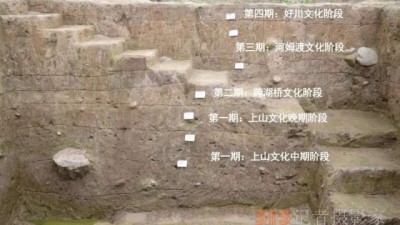 年度十大考古新發(fā)現(xiàn)仙居下湯遺址：揭開9000多年前南方村落神秘面紗