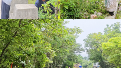黑山景區(qū)除雜清障,，守護夏日安全清爽