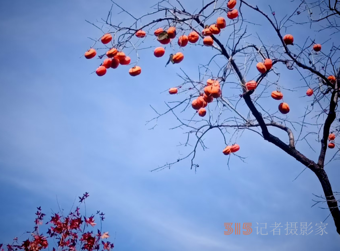 光影鑄魂，筆耕不輟 —— 王飛